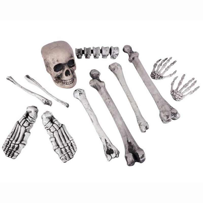Cráneo y 11 huesos